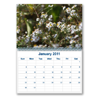 Calendars