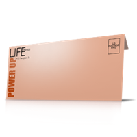 Envelopes - Business 1 or 2 Color